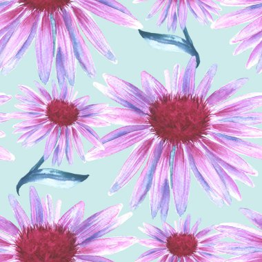 Arka planını çiçekler pembe. Papatya çayı. seamless modeli.