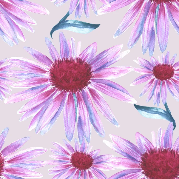 粉色的小花的背景。洋甘菊。无缝模式. — 图库照片