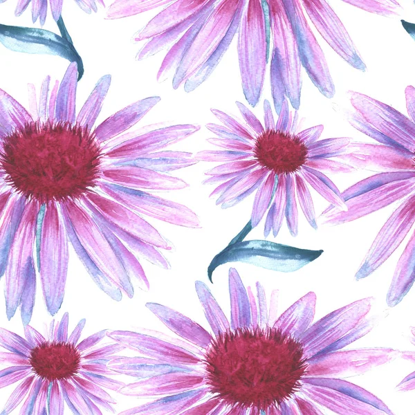 Arka planını çiçekler pembe. Papatya çayı. seamless modeli. 