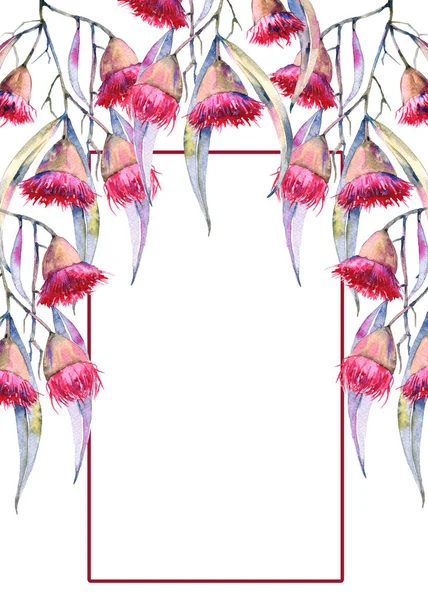 Вітальна листівка гілка квітів гумок. Ізольовані на білому фоні — стокове фото