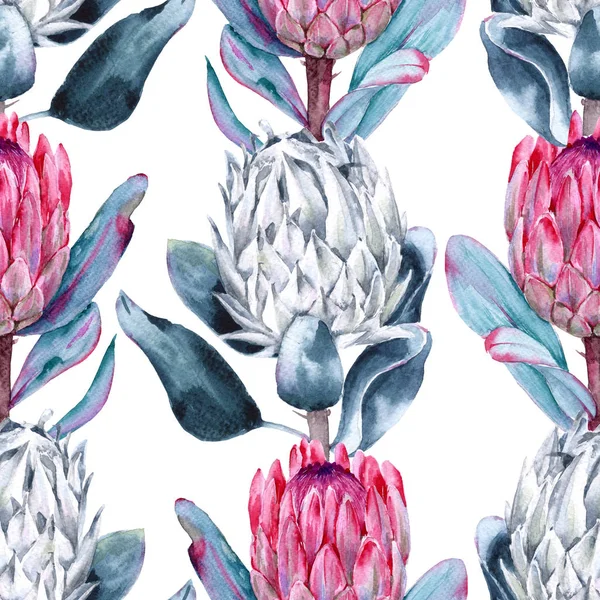 プロテアの花の背景。シームレス パターン. — ストック写真