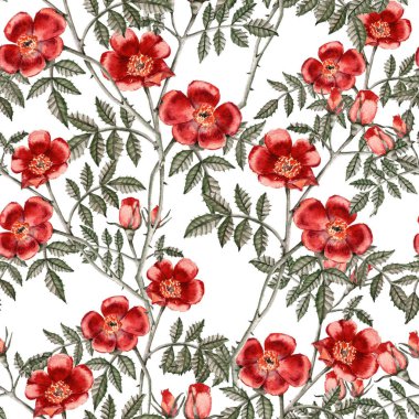 Arka plan ile bir kırmızı gül. Seamless modeli.