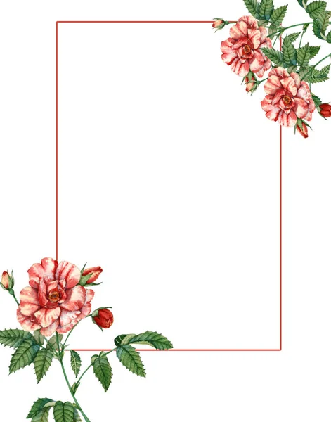 Marco de una flor de rosa roja. Tarjeta de felicitación . — Foto de Stock