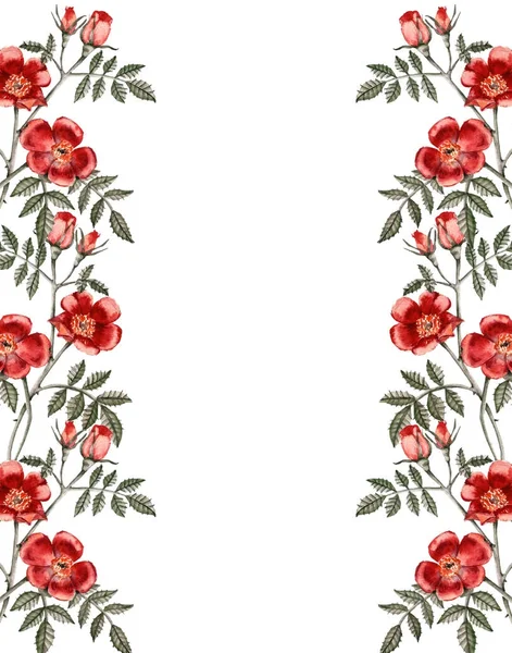 กรอบของดอกกุหลาบแดง การ์ดอวยพร . — ภาพถ่ายสต็อก