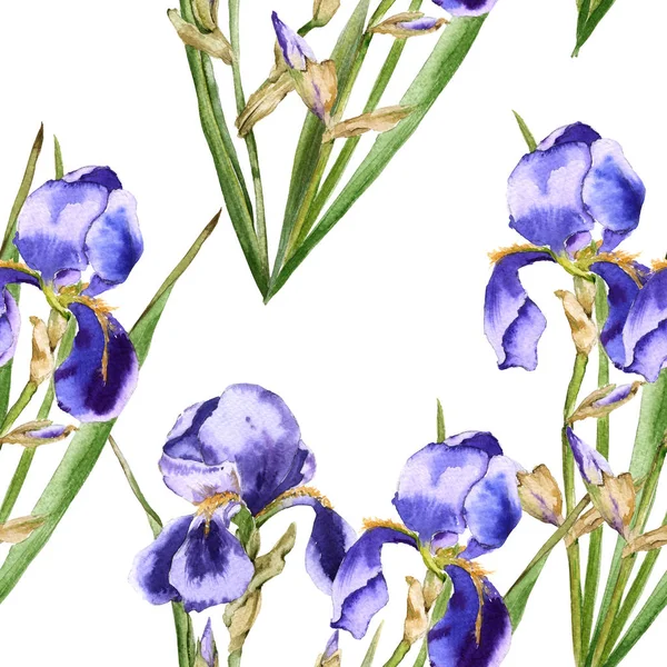 Hintergrund von Irisblumen. nahtloses Muster für Stoff. — Stockfoto