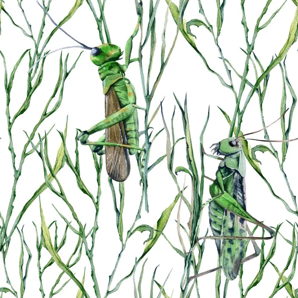 Achtergrond van sprinkhanen in het gras. Naadloze patroon voor stof. — Stockfoto