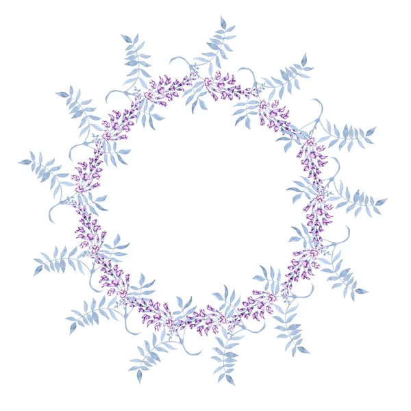 Blumen auf einem Zweig einer Glyzinien. Rahmen isoliert auf weißem Hintergrund. — Stockfoto