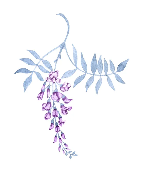Květiny na větvi wisterie. Izolované na bílém pozadí. — Stock fotografie