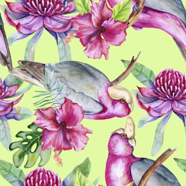 Kuşlar ve çiçekler tropikal unsurları arka plan. Seamless modeli. 