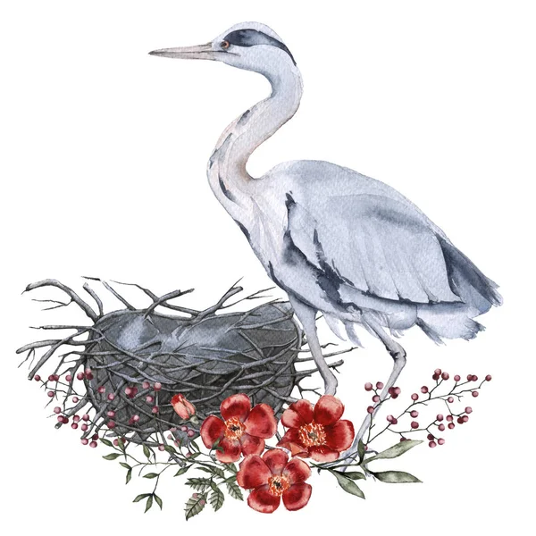 Grijze heron en nest. Geïsoleerd op witte achtergrond. — Stockfoto