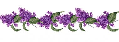 Çelenk Lila ile bir dalı ile bırakır. Beyaz arka plan üzerinde izole. 