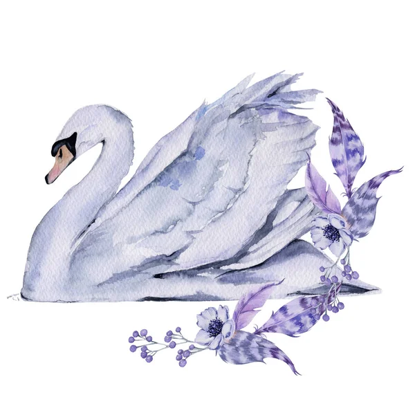 Cigno Bianco. Isolato su sfondo bianco . — Foto Stock