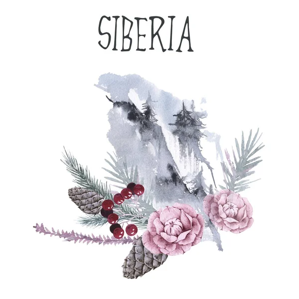 Складу Сибірського рослин і квітів. ізольовані на білому тлі. — стокове фото
