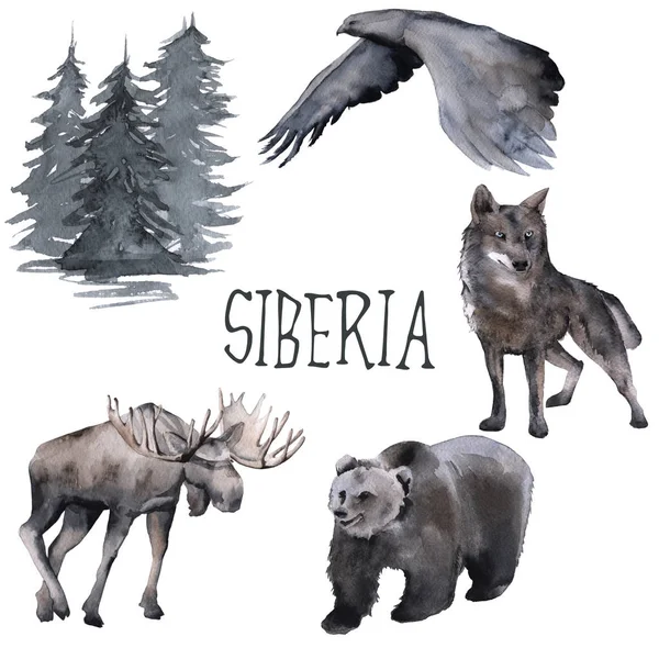 Набір Сибірський. Лось, вовк, місяцем і орел. ізольовані на білому тлі. — стокове фото