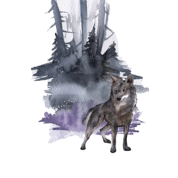 Сибирь. Лесной волк . — стоковое фото