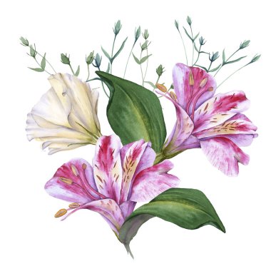 Orkide çiçeklerinin aranjmanı. Beyaz bir arkaplanda izole edilmiş.