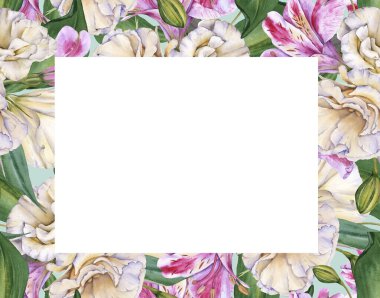 Orkide çiçekleri çerçevesi. Beyaz bir arkaplanda izole edilmiş.