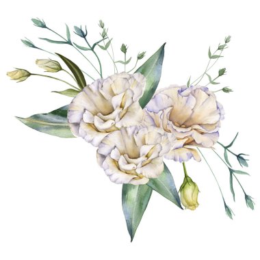 Beyaz Gül. Eustoma. Beyaz bir arkaplanda izole edilmiş.