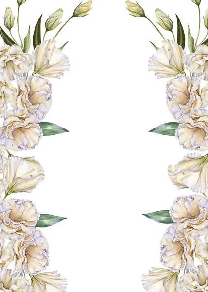 Rahmen aus weißen Rosen. Eustoma. isoliert auf weißem Hintergrund. — Stockfoto