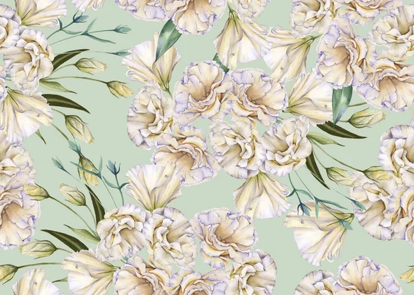 白いバラの背景。ユースタシアシームレスなパターン. — ストック写真