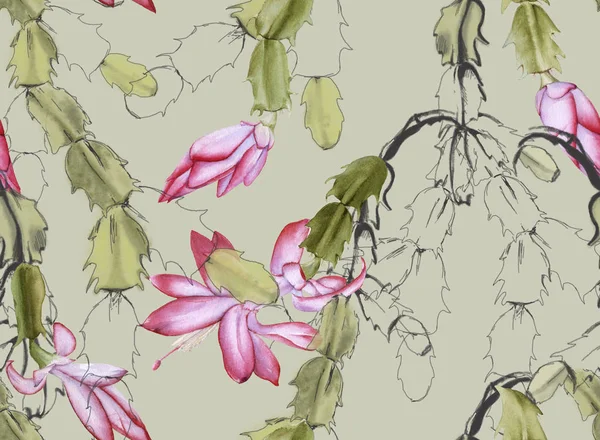 Background with blooming cactus schlumbergera. Seamless pattern. — ストック写真