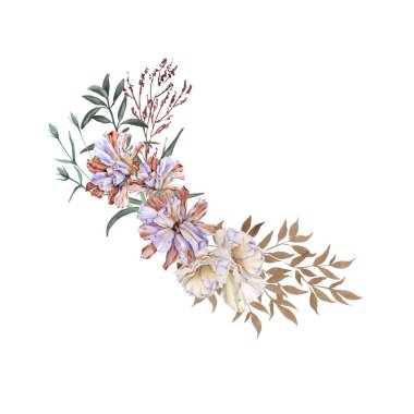 Eustoma. Solmuş çiçek. Beyaz bir arkaplanda izole edilmiş.