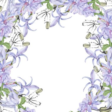 Çiçekli kaktüs schlumbergera ile çerçevelenmiş. Beyaz bir arkaplanda izole edilmiş.