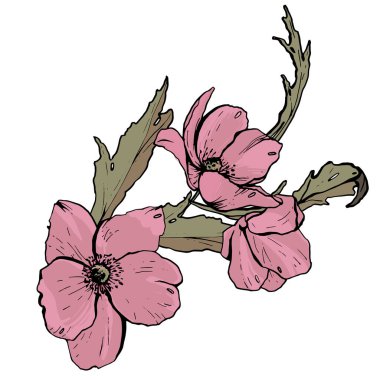  Bir buket çiçek. Beyaz arkaplan üzerinde izole edilmiş. 