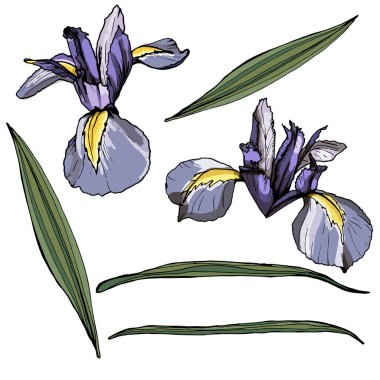  Göz elementleri seti. Beyaz arkaplan üzerinde izole edilmiş. 