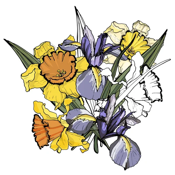Conjuntos de flores de narciso e iris. Aislado sobre fondo blanco . — Vector de stock