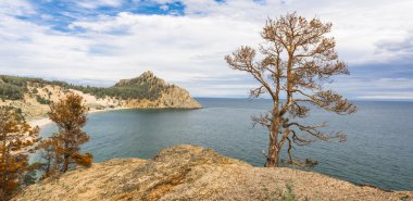 Pelerin yalnız yanmış çam