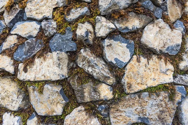 Kőfallal benőtt moha — Stock Fotó