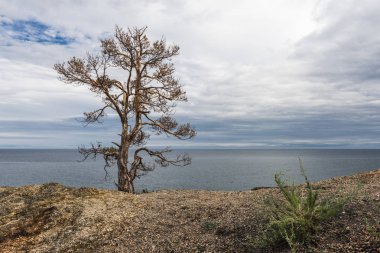 Uçurumun kenarına yalnız bir kayaya