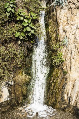 Ein Gedi doğa rezerv şelale