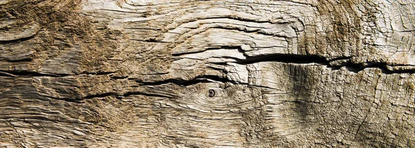 Ρωγμή σε ξύλινο δοκάρι — Φωτογραφία Αρχείου