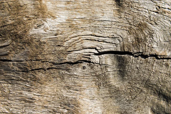 Μια ρωγμή σε μια ξύλινη σανίδα — Φωτογραφία Αρχείου