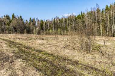 Toprak yol alanın kenarına gider