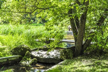 Büyük bir ağaç gölgesinde serin dere