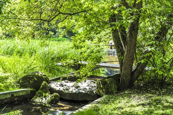 Büyük bir ağaç gölgesinde serin dere