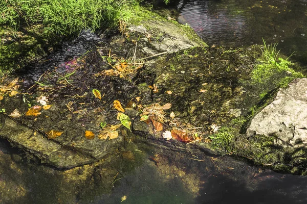 Duże kamienie w ciemnych wód potoku — Zdjęcie stockowe
