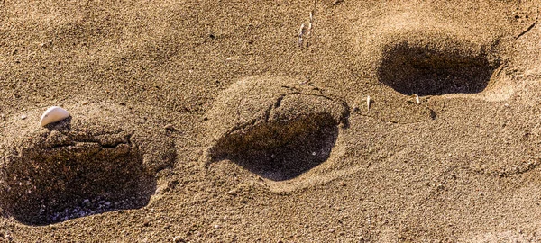 Глубокие следы на песке к морю — стоковое фото