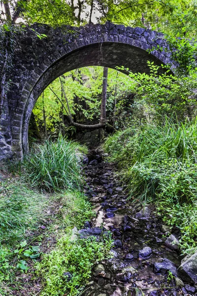Το κανάλι της ένα ρυάκι βουνού κάτω από μια ρουστίκ πέτρινη γέφυρα — Φωτογραφία Αρχείου