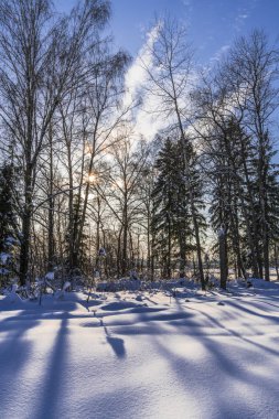 Kış orman ve çayır karla kaplı kenarını batan güneşin son ışınları vurgulanan son hayvan derin izler olduğu.