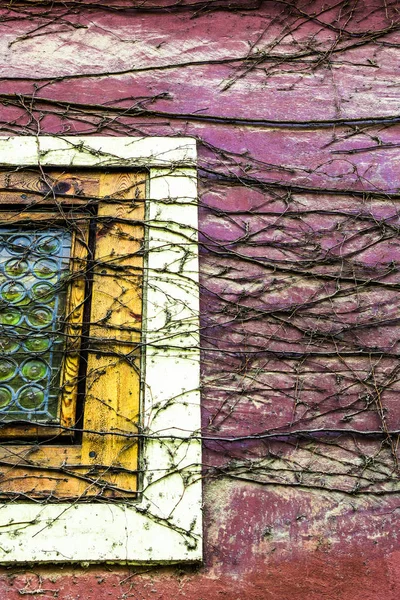 A small square window on the wall of an old Prague house is surrounded by beautifully intertwined shoots of dry vines.