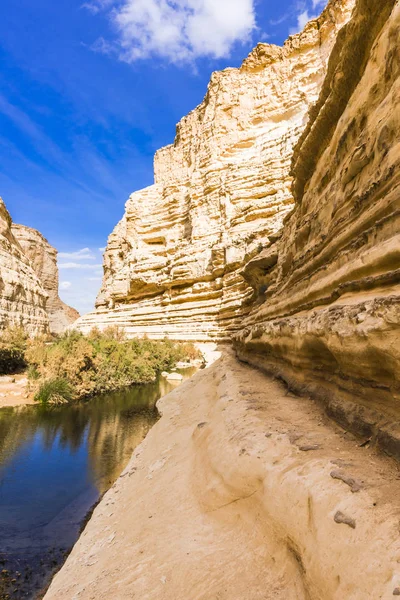 In the heart of the Negev desert is a deep canyon Ein Avdat. In the center of the canyon flows the cool river Qing.