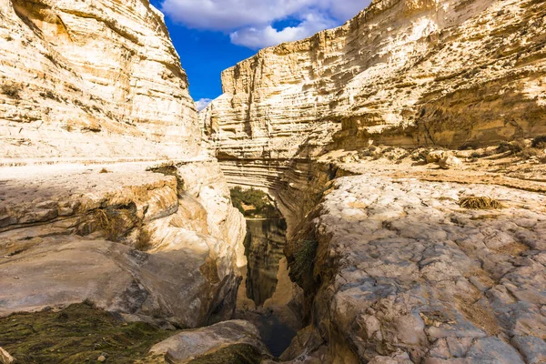 In the heart of the Negev desert is a deep canyon Ein Avdat. In the center of the canyon flows the cool river Qing.