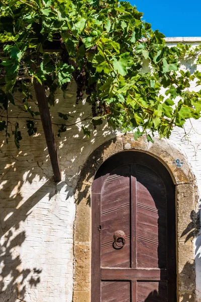 Una Puerta Madera Cubierta Vides Monasterio Griego Medieval — Foto de Stock