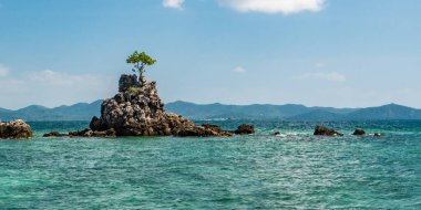 Andaman Denizi 'nde, Phuket kıyısında küçük bir kayalık adada yalnız bir ağaç.