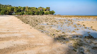 Andaman deniz kıyılarındaki gün ortası gelgiti deniz tabanındaki kum tepelerini ve mercan kalıntılarını ortaya çıkardı..