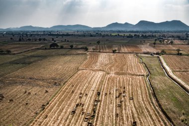 İneklerin otladığı uçsuz bucaksız tarlalar ufka kadar uzanıyor ve alçak dağların yeşil yamaçlarında son buluyor.